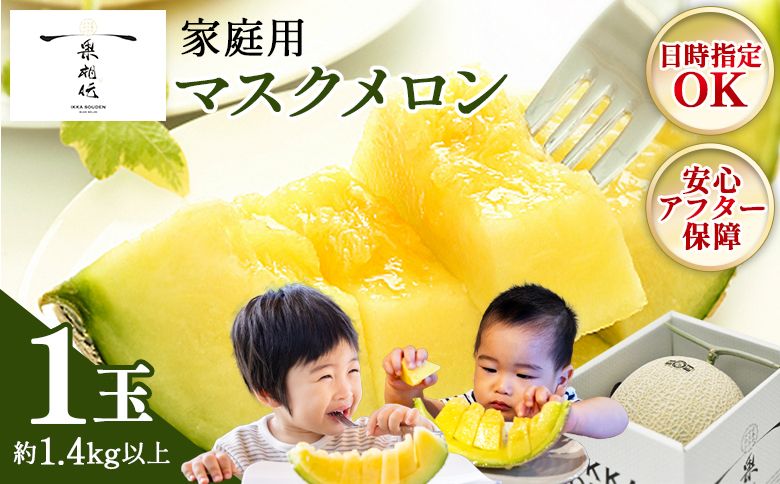 メロン 1玉入り [発送開始] マスクメロン 家庭用メロン 国産メロン 青肉メロン フルーツ メロン 果物 デザート メロン tn-0024