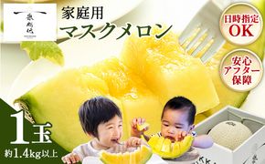 メロン 1玉入り 【発送開始】 マスクメロン 家庭用メロン 国産メロン 青肉メロン フルーツ メロン 果物 デザート メロン tn-0024