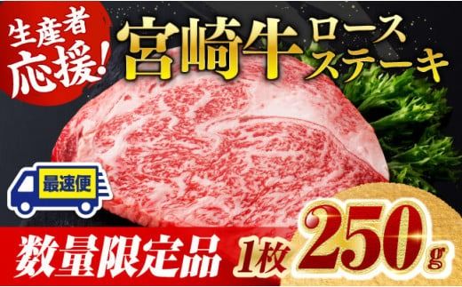 [数量限定]※最速便(2週間以内に発送)※ 宮崎牛ロースステーキ1枚 (250g) 肉 牛肉 宮崎県産 黒毛和牛 [D0601]