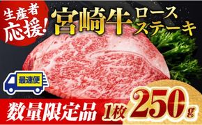 《数量限定》※最速便(2週間以内に発送)※ 宮崎牛ロースステーキ1枚 (250g) 肉 牛肉 宮崎県産 黒毛和牛 [D0601]