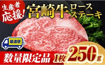 《数量限定》※最速便(2週間以内に発送)※ 宮崎牛ロースステーキ1枚 (250g) 肉 牛肉 宮崎県産 黒毛和牛 [D0601]