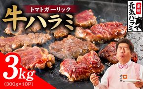 030D279 【新登場】トマトガーリック 牛ハラミ肉 3kg（300g×10P）【牛肉 はらみ 小分け 焼肉 お弁当 BBQ 訳あり ワケアリ わけあり サイズ不揃い 規格外 TVで話題】