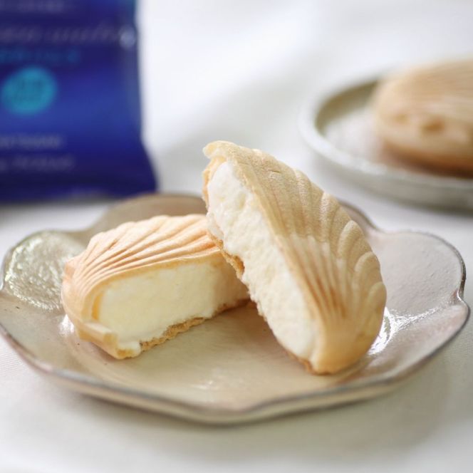 TV紹介 塩バニラアイス 9個 最中 カップ 室戸海洋深層水使用 高知 アイス アイスクリーム ご当地 スイーツ ご当地スイーツ 塩 もなか 最中アイス カップアイス 詰合せ 詰め合わせ ギフト ふるさと納税