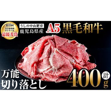 ＜A5等級＞鹿児島県産 黒毛和牛万能切り落とし(計400g /400g×1P) a0-360