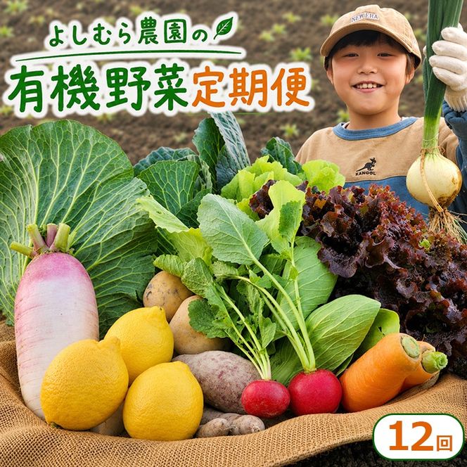 野菜 定期便 12回 詰め合わせ 10種 よしむら農園 オーガニック 有機 有機野菜 やさい ベジタブル おまかせ セット 一人暮らし おすすめ レタス とうもろこし トマト 有機栽培 JAS 栄養 贅沢 国産 大容量 人気 新鮮 今が旬 香川県 丸亀市