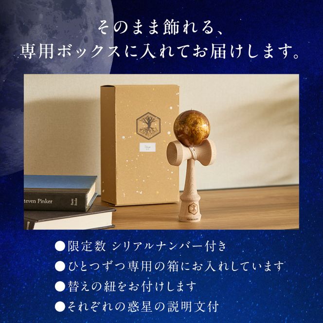 世界に一つだけのけん玉　「水星」 シリアルナンバー付き アーティスト 手書き けん玉 惑星けん玉 専用箱付き 替え紐付き 一点物 アート インテリア 愛知県 小牧市 送料無料 ［219H01-02］ 