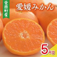 数量限定 愛媛みかん 5kg 10000円 温州みかん こたつ みかん mikan 蜜柑 ミカン 国産 期間限定 特産品 ギフト プレゼント お歳暮 産地直送 農家直送 人気 限定 甘い フルーツ 果物 柑橘 おいしい 小玉 含む おいしい 岡平農園 愛南町 愛媛県