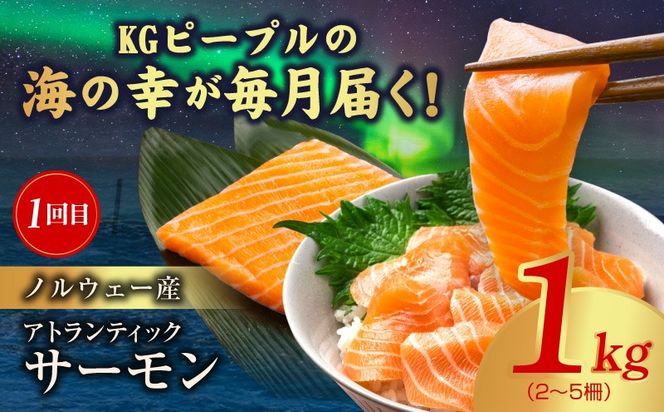 kgpZ018 海鮮食べ比べ 定期便 全5回 総量6kg以上【サーモン ブラックタイガー 銀鱈 銀鮭 鰹 訳あり サイズ不揃い 小分け 惣菜】