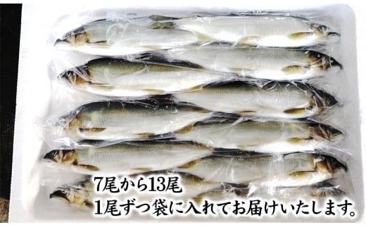 【2026年11月以降発送】【先行予約】【延岡産】小分けで便利！冷凍子持ち鮎１kg N017-YZA173
