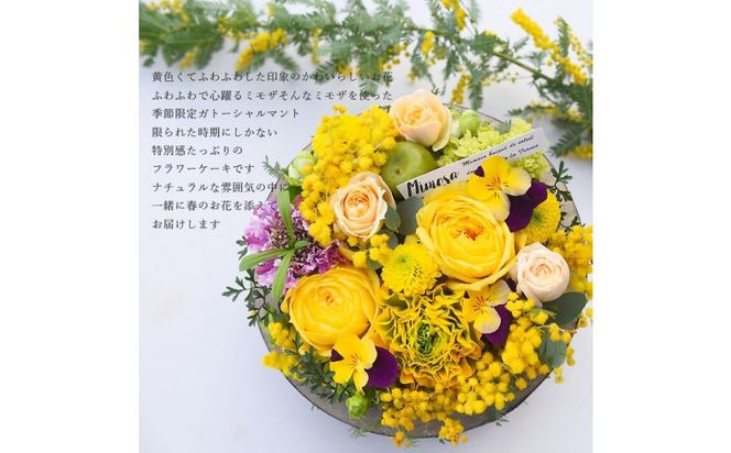 季節限定ガトーシャルマント「ミモザケーキ」 期間限定ミモザケーキ アレンジ サプライズ 誕生日 成人式 卒業祝い 初節句 ひな祭り バレンタイン お返し 「ガトーシャルマント」プレゼント フラワーケーキ アレンジ 送料無料 ケーキBOX入り 生花 フラワー ギフト 記念日 結婚 マカロン 272230_BG105