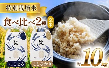 令和6年産　愛知県産　コシヒカリ・にこまる　玄米　各5kg　特別栽培米　お米　ご飯　愛西市／戸典オペレーター[AECT009]