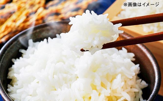 にこまる 玄米品質1等米 白米 10kg 糸島市産 糸島市 / 糸島の恵み コメ こめ ご飯[AGR002]