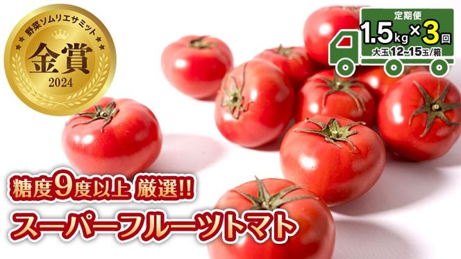 【 先行予約 】【 3ヶ月 定期便 】 スーパーフルーツトマト 中箱 約1.2kg × 1箱 【大玉 12～15玉/1箱】 糖度9度 以上 野菜 フルーツトマト フルーツ トマト とまと [AF043ci]