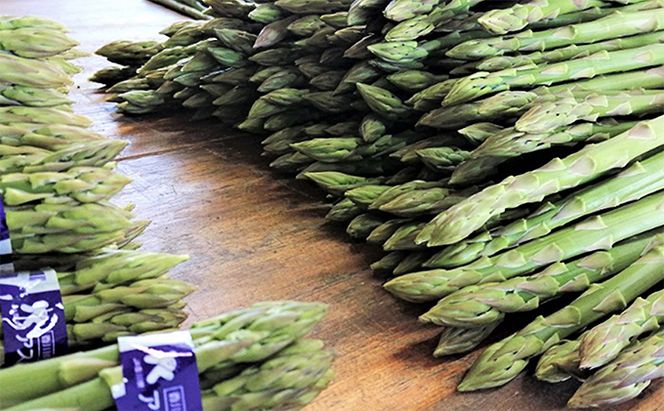 砂川さんの特選 アスパラ 1kg Lサイズ【さぬきのめざめ】 アスパラガス 冷蔵便 野菜 甘い 美味しい グリーンアスパラ 1万円以下 野菜セット 新鮮 旬 とれたて お取り寄せ 小分け BBQ 自宅用 家庭用 