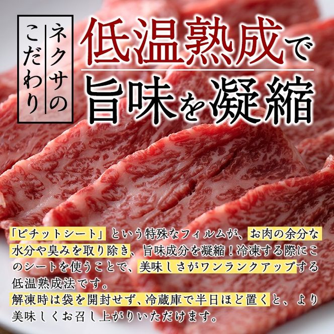 おおいた和牛 大トロカルビ焼肉 (200g) 国産 牛肉 肉 霜降り 低温熟成 A4 和牛 ブランド牛 BBQ 冷凍 大分県 佐伯市【DH220】【(株)ネクサ】