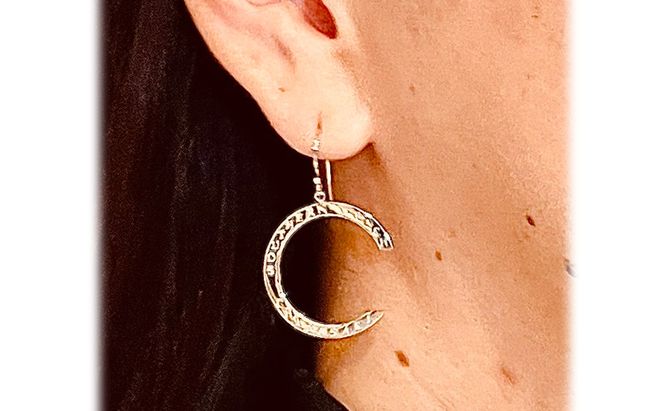 茅ヶ崎サザンCピアスL 