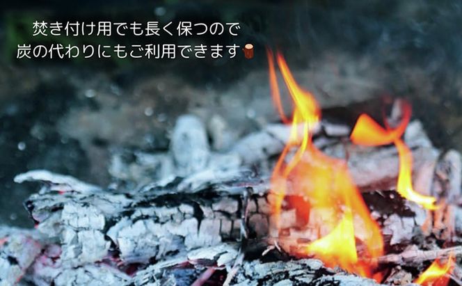 針葉樹 薪 約13kg スギ ヒノキ 杉 檜 アウトドア キャンプ 焚火 焚き火
