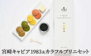 宮崎キャビア1983(12g)&カラフルブリニセット N027-YC910