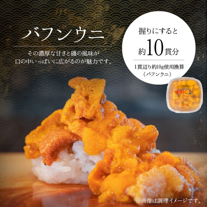 【2026年夏！新岡商店より発送】塩水バフンウニ（100g）【銀座の高級寿司店御用達】 塩水ウニ発祥の地 高級ウニ 高級雲丹 高級うに バフンウニ 赤うに 赤ウニ 目利き _Y037-0340