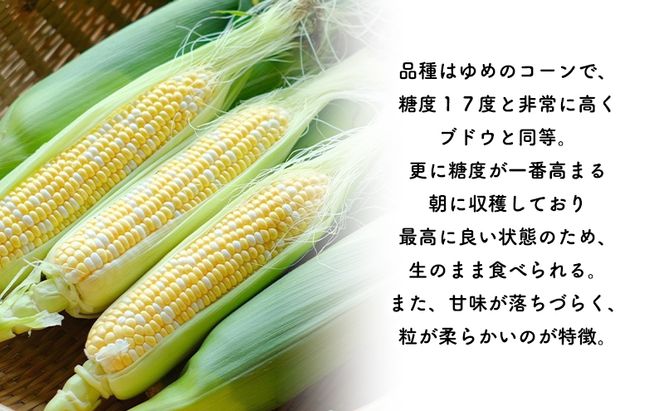 2026年発送 【全2回定期便】 生のまま食べられる！とうもろこし まっくコーン・梨同等の甘さの玉ねぎ まっくオニオン 北海道富良野市 富良野産 ふらの 玉葱 コーン とうもろこし 野菜 旬