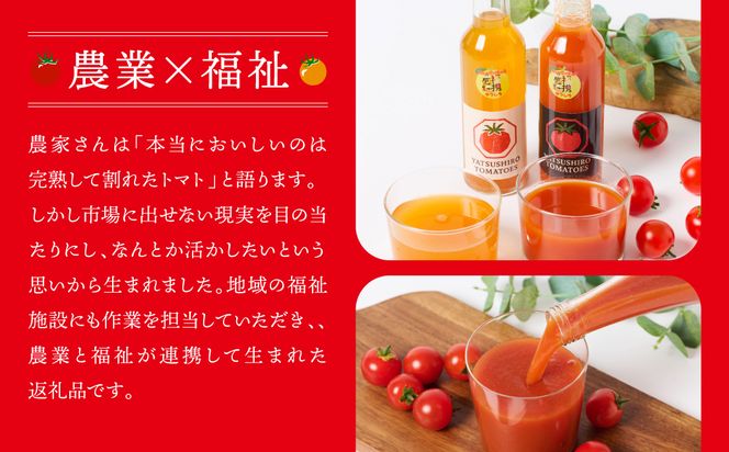 八代産完熟ミニとまとジュース 180ml（赤・白） 2本セット トマト ミニトマト 完熟 ジュース 飲料 野菜 熊本県 八代市