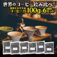 [粉]コーヒー豆 100g×6種類セット 合計600g 注文後焙煎 272183_BG427
