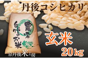 2025年産　京丹後産コシヒカリ 玄米20kg　GB00005