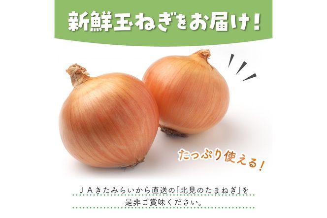 【隔月2回(11月・1月)定期便】JAきたみらいから直送する新鮮玉ねぎ 10kg Lサイズ以上 ( 野菜 定期便 玉葱 たまねぎ 期間限定 )【999-0118-2026】