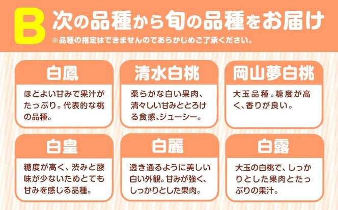 小寺さんの旬の白桃 2kg 6～9玉 小寺壽夫 《7月中旬-8月下旬頃出荷》 岡山県 笠岡市 岡山県産 モモ 果物 フルーツ もも 桃 選べる 品種 白桃 白鳳 清水白桃 岡山夢白桃 白麗 白露 紅清水 川中島白桃 なつおとめ 白皇 白桃---K-29---