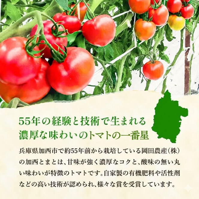 トマト 1kg+トマトの一番星ピューレ 380g×1本セット 兵庫県産 野菜 とまと 完熟 高糖度 濃厚 甘い 賞 受賞 糖度 夏野菜 あまい お取り寄せ 冷蔵配送