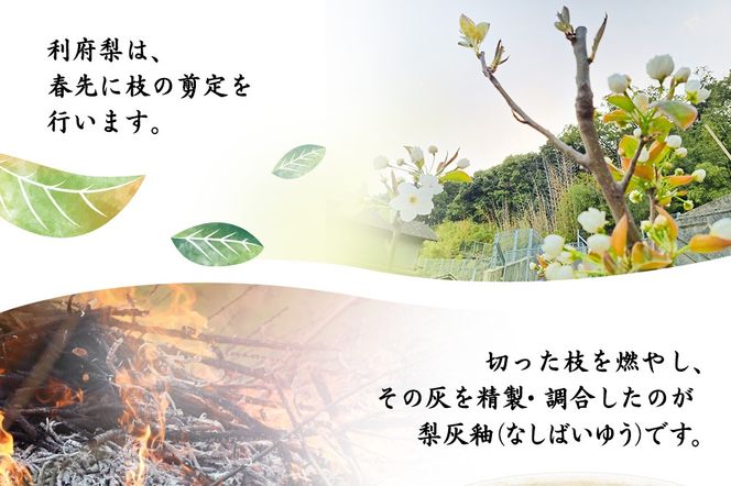 梨灰釉フリーカップ 2個組|06_tni-010201