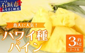 【先行予約】《2026年7月上旬頃より順次発送》石垣島産 ハワイ種パイン 2～3玉セット 約3㎏【 産地直送 石垣島産 石垣 完熟 パイン パイナップル 】TD-6