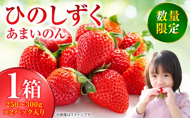 yF{szys\zЂ̂ -܂̂ VN t[c ʕ    C`S Xgx[ { F{  Y y2026N1{菇z