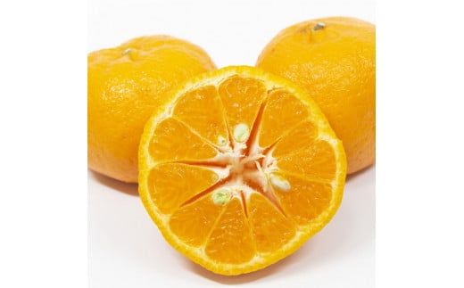 【先行予約】 訳あり ポンカン 約5kg 愛愛柑 9000円 わけあり ぽんかん みかん 蜜柑 果物 くだもの 果実 柑橘 ミカン mikan フルーツ ゼリー ジュース 甘い ジューシー デザート ブランド 特産品 国産 産直 産地直送 糖度 愛媛県 愛南町 フルーツアイランドマルエム直販