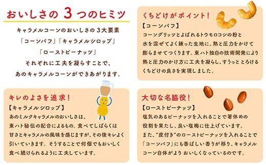 【小分けで食べきりサイズ！いつものあの味】東ハト キャラメルコーン 20g×32個 スナック菓子 ピーナッツ こども 子供 おやつ お菓子 遠足 定番  FAA-217