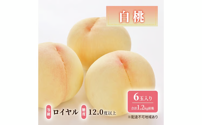先行予約 晴れの国 岡山のフルーツ 定期便 2回コース 1回目ロイヤル白桃6玉 合計約1.2kg／2回目冬桃がたり6個 合計約1.2kg[№5735-3575]