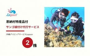 チケット サンゴ植付け ｜ 代行サービス 2株【恩納村ラグーン】