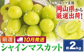 【10月発送】シャインマスカット 約2kg(3-5房)《2026年10月上旬-10月末頃出荷》岡山県 笠岡市 シャインマスカット 厳選 ぶどう ブドウ 葡萄 マスカット 果物 フルーツ ギフト---kasaoka_zsy_419_2000-10m---