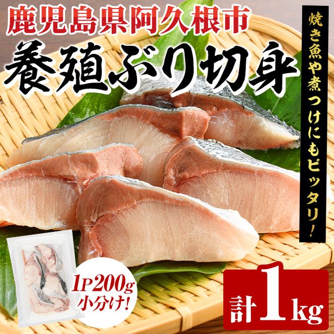 養殖ぶり切身(約1kg) 鹿児島県 阿久根市 ブリ ぶり 鰤 魚貝 魚介 海産物 切身 切り身 煮物 煮つけ 焼き魚 おかず おつまみ 小分け 【さるがく水産】akn028-44