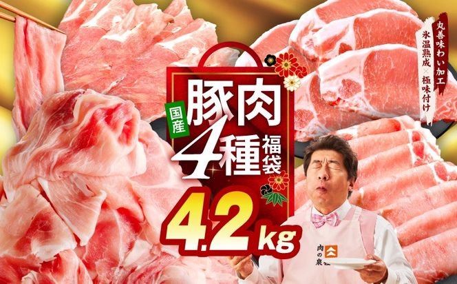 mrzZ074 【定期便】国産豚肉 4種 福袋 4.2kg×全2回【氷温熟成×極味付け 小分け 300gパック ぶたにく 普段使い 野菜炒め 切り落とし まとめ買い 訳あり サイズ不揃い 2026年2月＆5月発送】