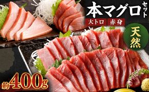 厳選天然本マグロ大トロ・赤身食べきりセット【約４００ｇ】ge011