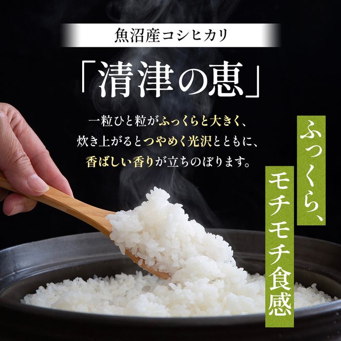 【令和8年産 先行予約】〈定期便〉魚沼産特別栽培米コシヒカリ［清津の恵］精米5kg全12回