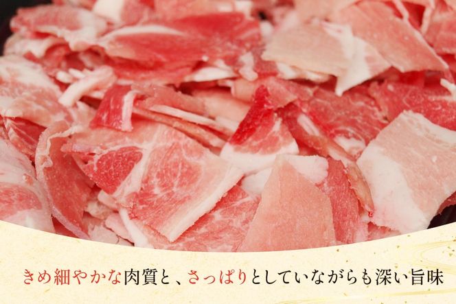 豚肉 宮崎県産 豚 小間切れ 200g 10P 計2kg [マルミヤストア 宮崎県 美郷町 31ag0143] 小分け 豚こま 豚コマ 細切れ