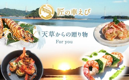 【上天草ブランド認証品】【定期便 全12回お届け】 匠の車えび 【活き締め急速冷凍】300g (9尾～12尾)   冷凍