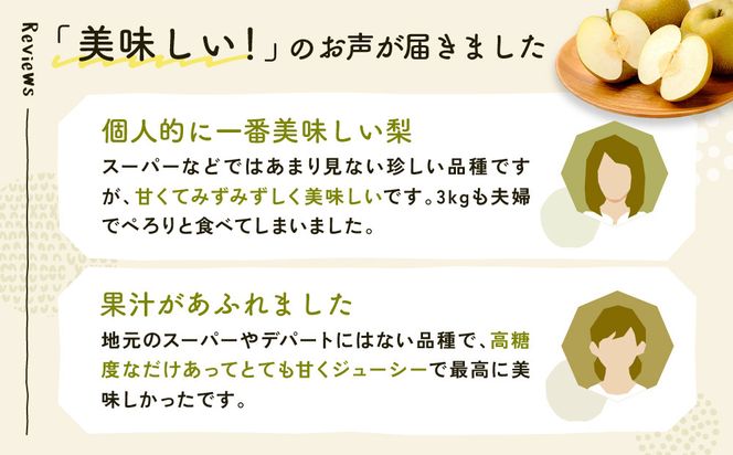新甘泉梨 3kg箱(約6～10玉) 312011_BU005