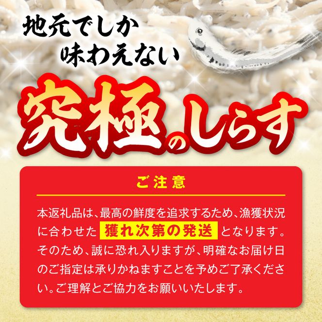 【とれたて直送】極しらす干し 1kg N065-YA4442