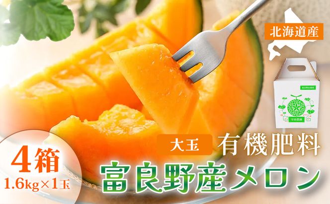【糖度15度以上 赤肉メロン】富良野産 メロン 1.6kg×1玉 4箱 計6.4kg｜北海道富良野市 7～8月発送 ご褒美 プレゼント メロン 赤肉メロン 富良野メロン 果物 フルーツ とろける甘さ 夏季限定 旬の味覚 芳醇な香り