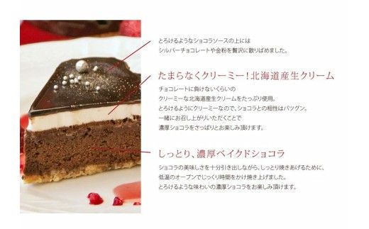 クリスマスケーキ　星空のショコラ 5号 4-6人分　パティスリー天使のおくりもの ※2026年12月～発送