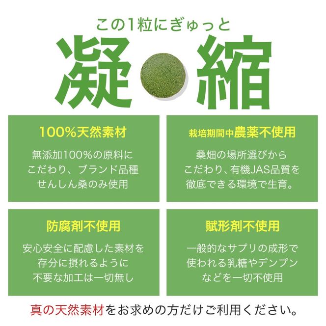 a1018 ≪定期便・全3回≫ さつま桑粒 (270粒入×3ヶ月) 桑の葉 サプリメント 天然100％ オーガニック ダイエット 有機 JAS【わくわく園】