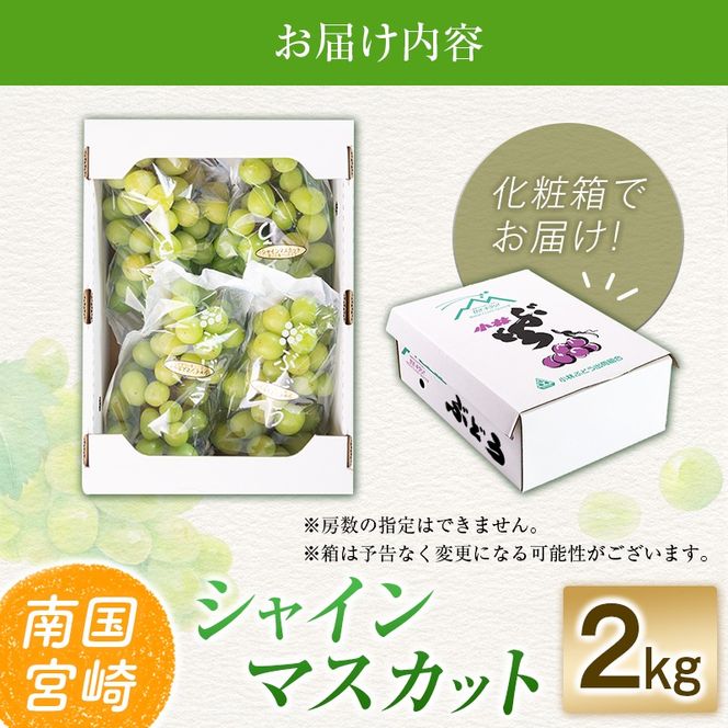 【令和8年発送 先行予約】小林市産 シャインマスカット 2kg（ブドウ ぶどう シャインマスカット マスカット フルーツ 果物 先行受付 限定）